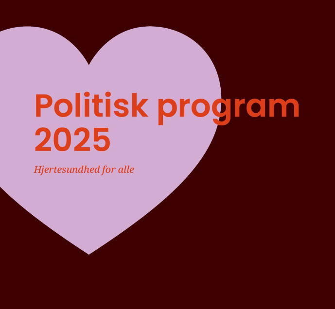 PolitiskProgram2025