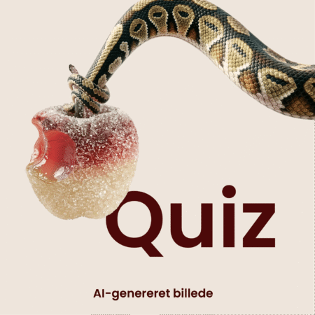 Bannere med KVai_Quiz 457x457px 2 (2)_ny