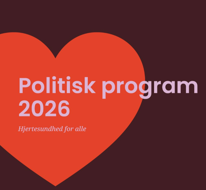 Politisk program 2026
